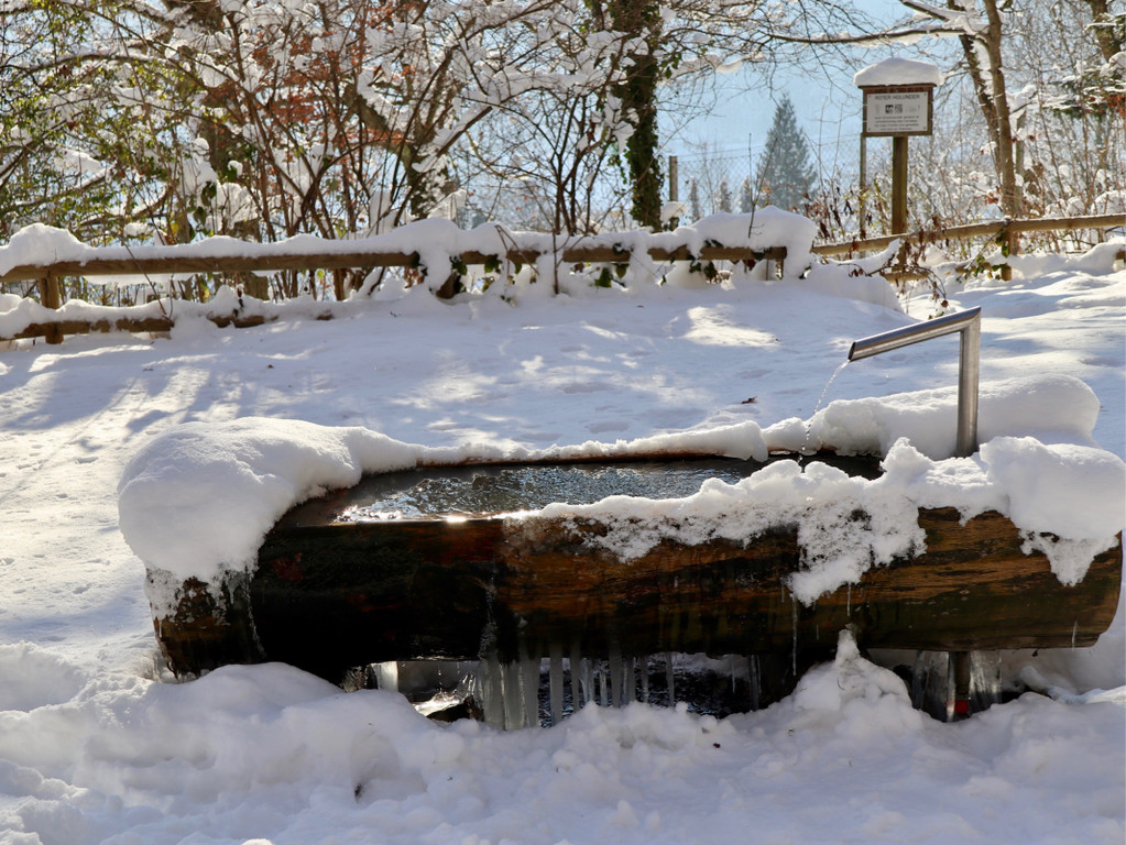 KOE_Wintermaerchen Wildpark 16.jpg