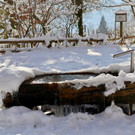 KOE_Wintermaerchen Wildpark 16.jpg