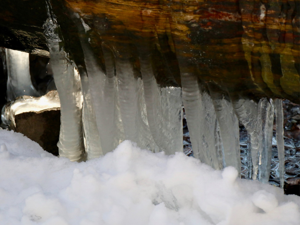 KOE_Wintermaerchen Wildpark 17.jpg