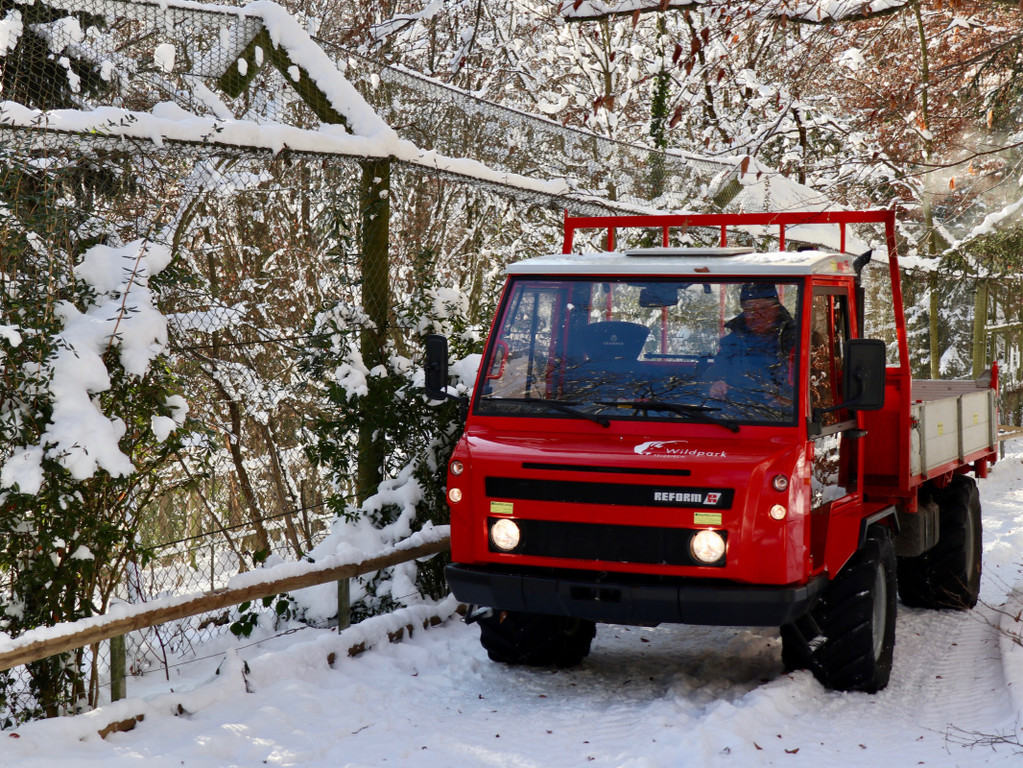 KOE_Wintermaerchen Wildpark 25.jpg