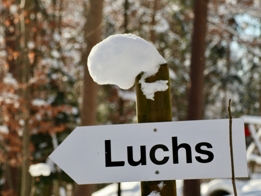 KOE_Wintermaerchen Wildpark 26.jpg