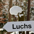 KOE_Wintermaerchen Wildpark 26.jpg