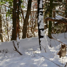 KOE_Wintermaerchen Wildpark 27.jpg