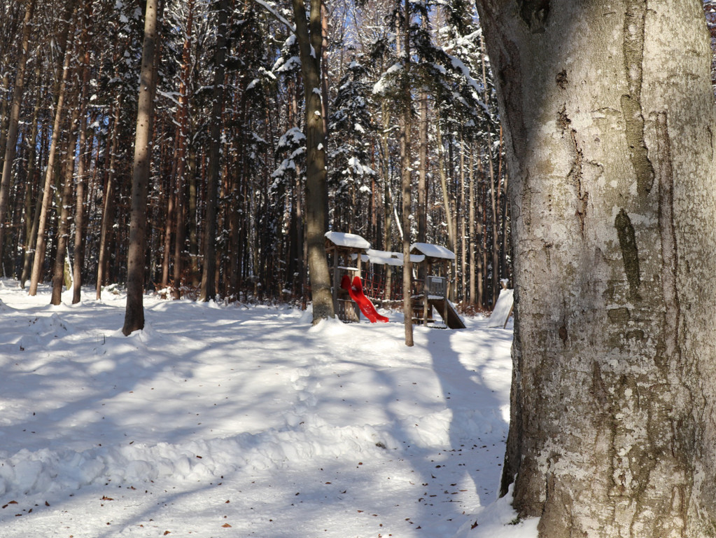 KOE_Wintermaerchen Wildpark 30.jpg