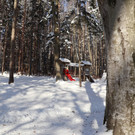 KOE_Wintermaerchen Wildpark 30.jpg