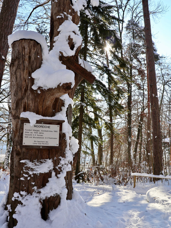 KOE_Wintermaerchen Wildpark 34.jpg