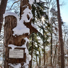 KOE_Wintermaerchen Wildpark 34.jpg