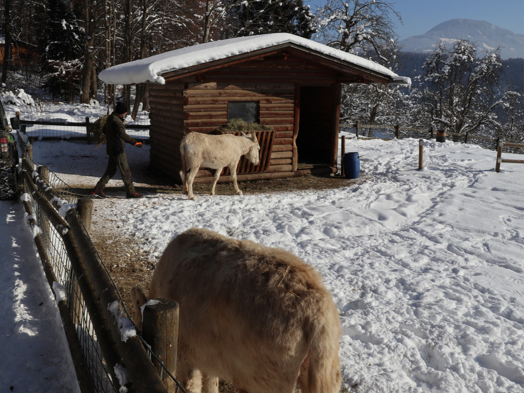 KOE_Wintermaerchen Wildpark 43.jpg