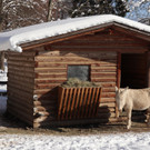 KOE_Wintermaerchen Wildpark 45.jpg