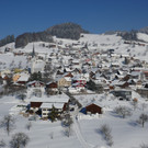 Winter Fraxern 19-01-2017 _24_.JPG