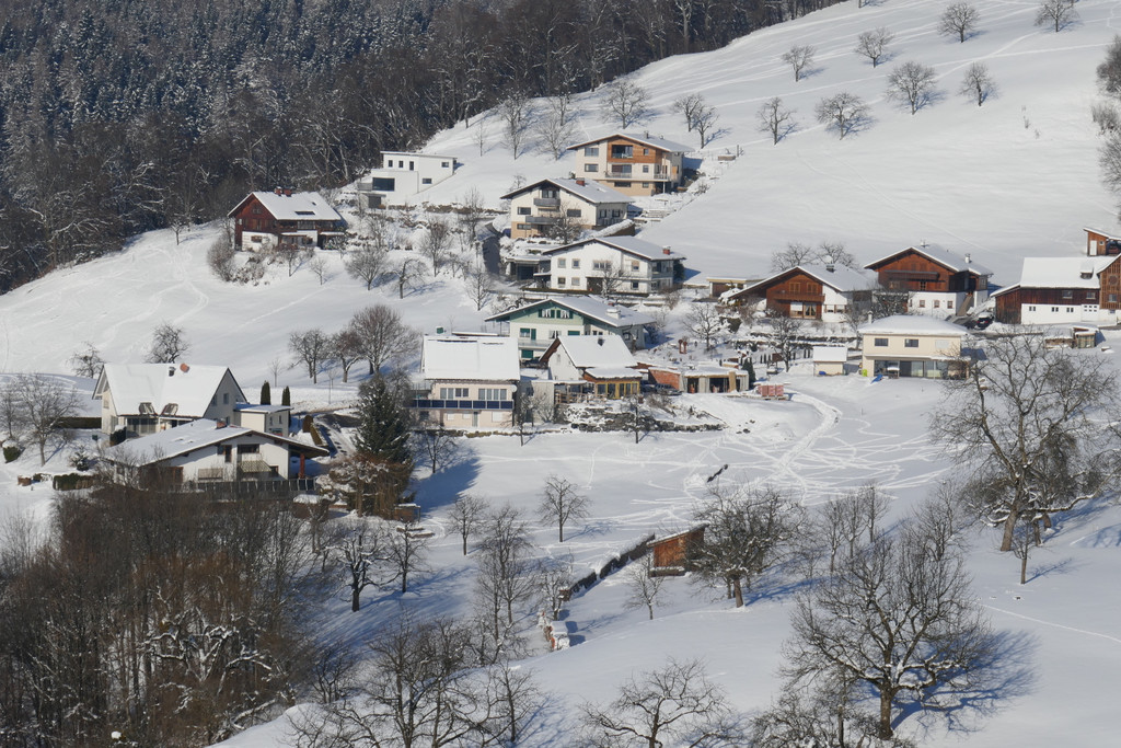 Winter Fraxern 19-01-2017 _35_.JPG