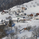 Winter Fraxern 19-01-2017 _35_.JPG