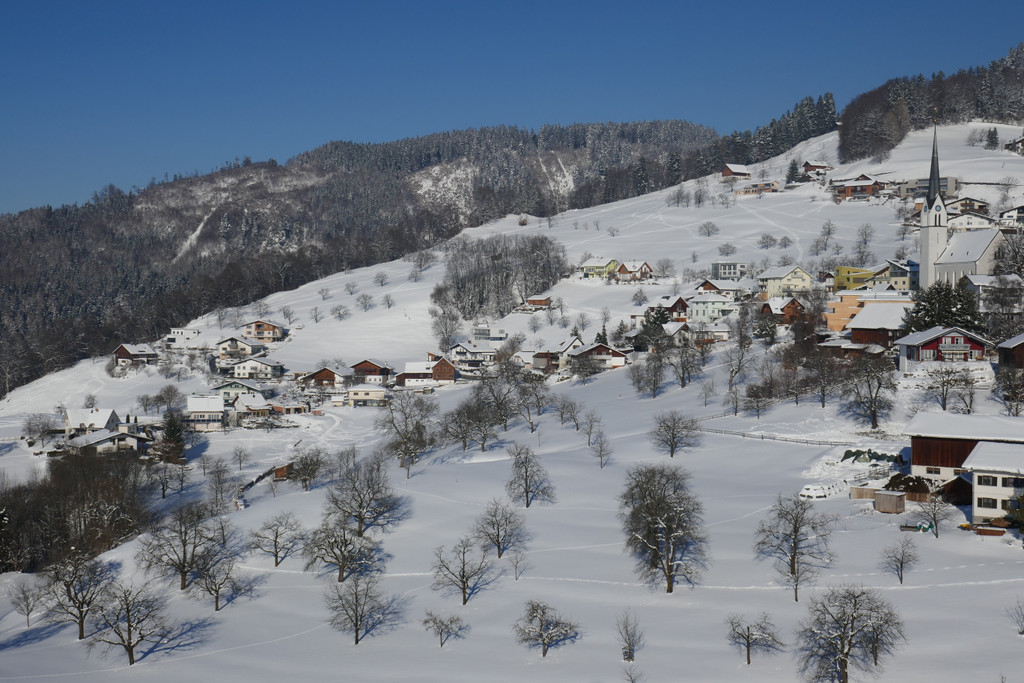 Winter Fraxern 19-01-2017 _36_.JPG
