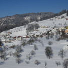 Winter Fraxern 19-01-2017 _36_.JPG