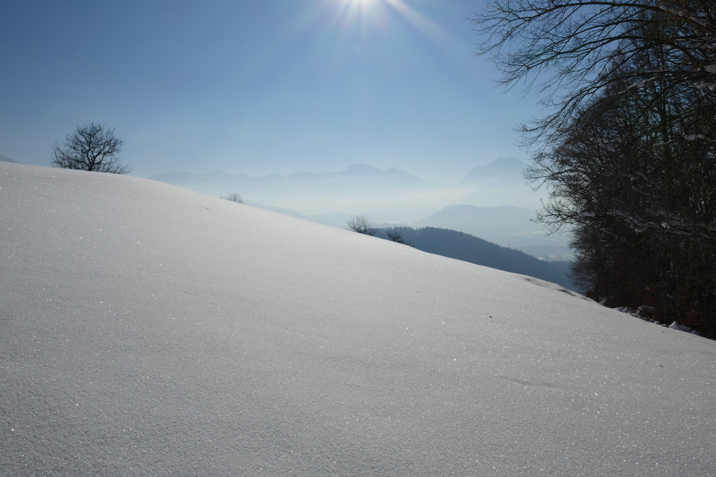 Winter Fraxern 19-01-2017_Kapf richtung rheintal_1_.JPG