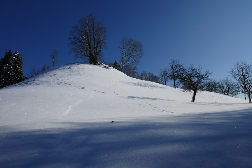 Winter Fraxern 19-01-2017_Kapf s__dseite _9_.JPG