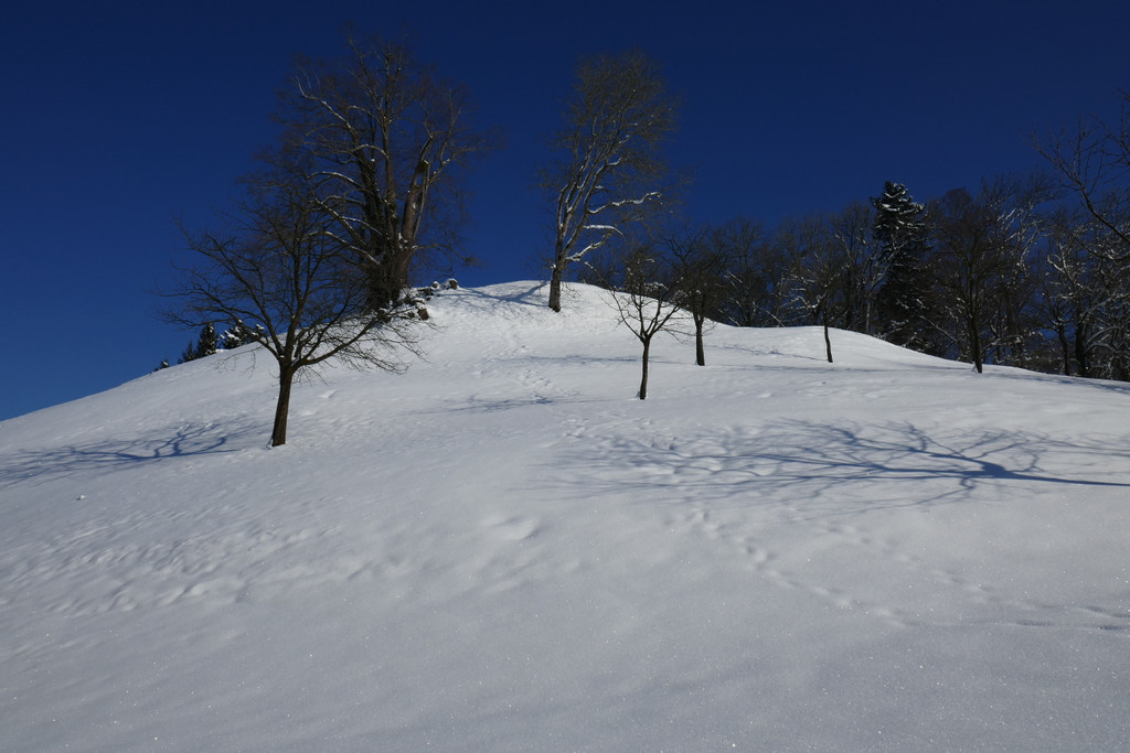 Winter Fraxern 19-01-2017_Kapf-Plateau _1_.JPG