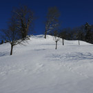 Winter Fraxern 19-01-2017_Kapf-Plateau _1_.JPG