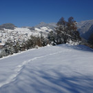 Winter Fraxern 19-01-2017_Kapf-Plateau _3_.JPG