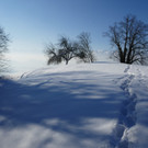 Winter Fraxern 19-01-2017_Kapf-Plateau _4_.JPG