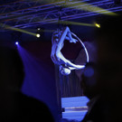 Show_2.JPG