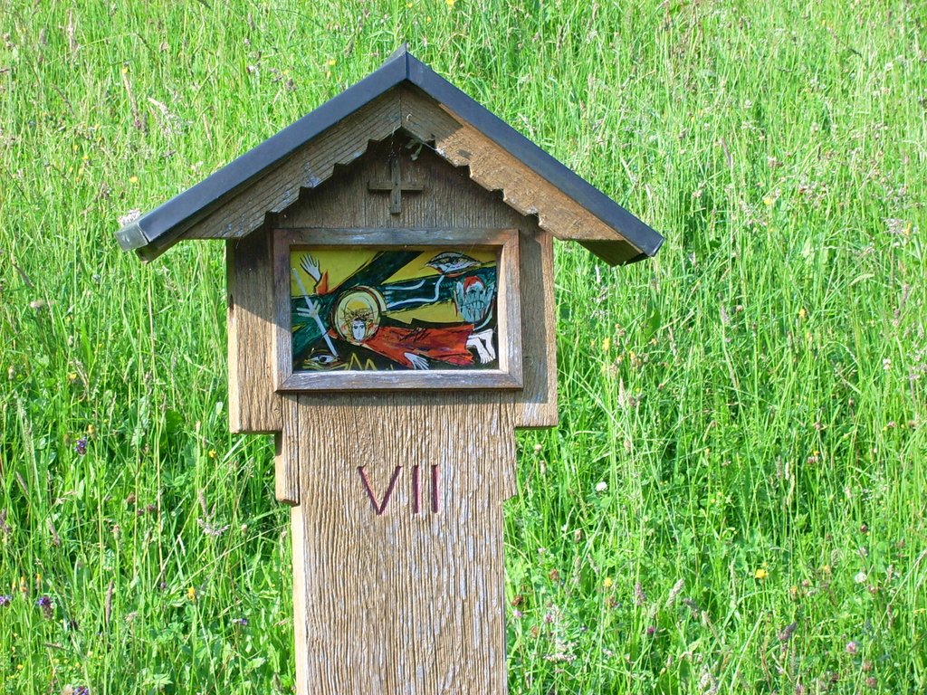 KW7 JD500397_JPG-1278216090