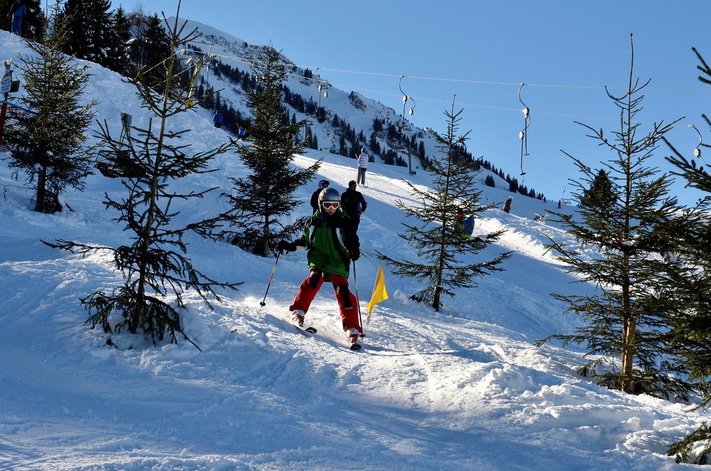 _DSC8638.JPG