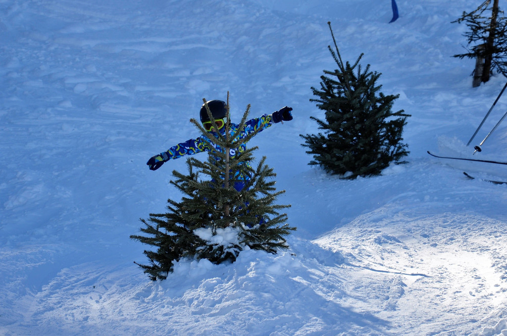 _DSC8665.JPG
