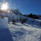 _DSC8670.JPG