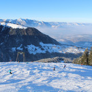 IMG_7333.JPG