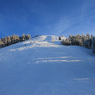 IMG_7334.jpg