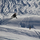 IMG_1287.jpg