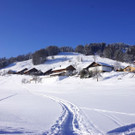 DSC00206.JPG