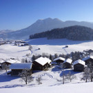 DSC00216.JPG