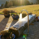 DSC00238.JPG