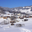DSC00290.JPG