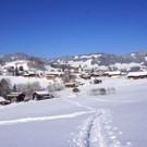 DSC00302.JPG
