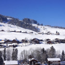 DSC00306.JPG