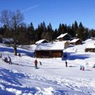 DSC00428.JPG