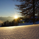 DSC01323.JPG
