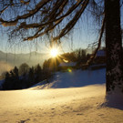 DSC01325.JPG