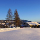 DSC01330.JPG