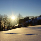 DSC01433.JPG