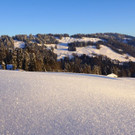 DSC01434.JPG
