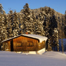 DSC01442.JPG