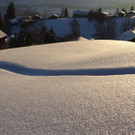 DSC01448.JPG