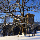DSC01460.JPG