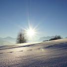 DSC01479.JPG
