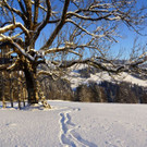 DSC01467.JPG