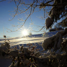 DSC01475.JPG